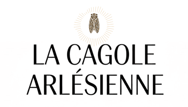 Bracelets artisanaux et bijoux uniques à Arles 🌾🦩